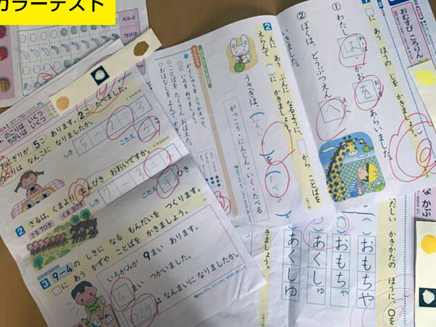カラーテスト 小学校 いつから実施されるのか